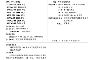 通过操作信使RNA前体加工而提供的针对环境毒性的保护