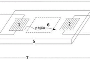 用于可挥发有机污染物探测的声表面波传感器