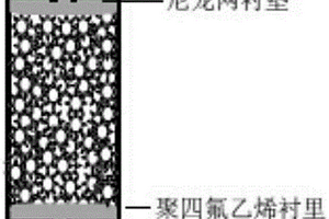 铁离子吸附柱及其应用
