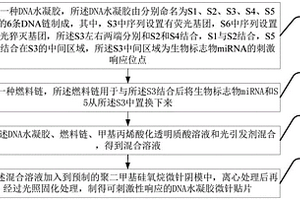可刺激性响应的DNA水凝胶微针贴片及其制备方法与应用