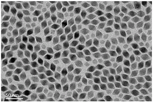 LiErF<Sub>4</Sub>基核壳结构上转换纳米发光材料及其制备方法