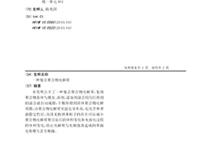 复合聚合物电解质