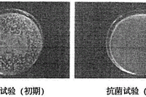 具有有效性和安全性的功能性肥皂及皮肤护理用产品
