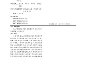SnO2@聚合物同轴异质纳米棒阵列结构材料及其制备方法和应用