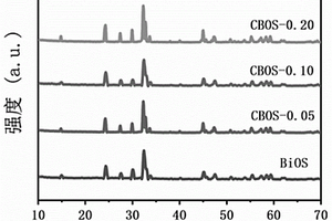 Co掺杂Bi<Sub>2</Sub>O<Sub>2</Sub>S催化剂及其制备方法和应用