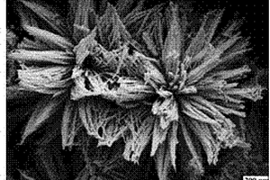 Co3O4菊花状材料及其制备方法和应用