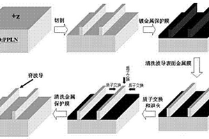 二维质子交换MgO:PPLN脊波导的制备方法
