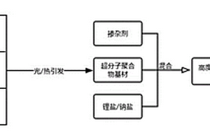 高度离子离域化聚合物固态电解质和全固态电池