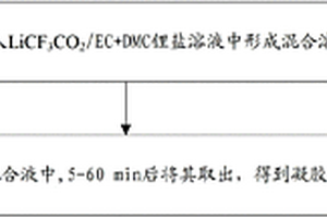 PEO基质凝胶聚合物电解质及其制备方法