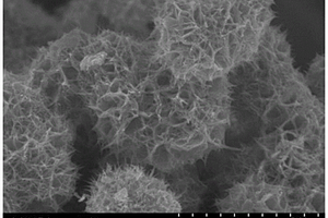 MnO<Sub>2</Sub>/NiCo<Sub>2</Sub>O<Sub>4</Sub>纳米复合材料及其电化学沉积制备方法