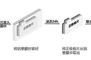 凝胶电解质前驱体及其应用