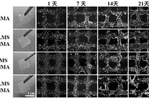 具有血管和神经双功能的骨再生生物复合支架及其制备方法和应用