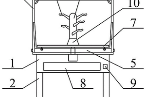 珠宝饰品展示装置