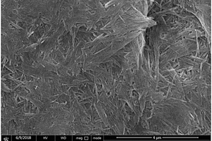 隔膜用油性陶瓷浆料及其制备方法、隔膜