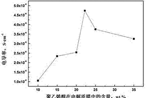 聚氯乙烯基聚合物电解质膜的制备方法