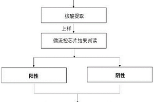 检测虾肝肠胞虫的引物以及试剂盒