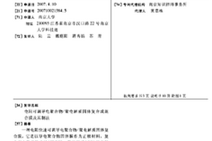 电阻可调导电聚合物/聚电解质固体复合或混合膜及其制法