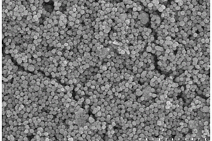 LiFeO<Sub>2</Sub>纳米颗粒及其制备方法