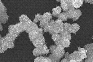 二氧化锡纳米材料的水热合成方法