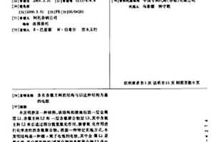 含有含氟主料的结构与以这种结构为基的电极