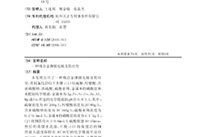 锡合金薄膜电极及其应用