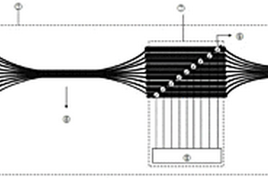 方向可控激光器系统