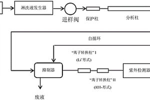 二次离子转换装置及含该装置的离子转换色谱和检测系统