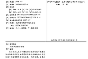 培养人胚胎干细胞