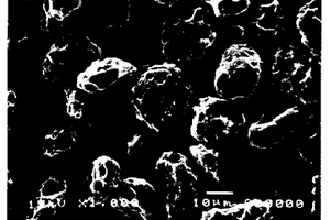 石墨粒子、碳-石墨复合粒子及其制造方法