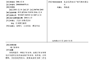 离子传导体