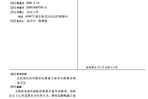 太阳能电池用凝胶状聚离子液体电解质及制备方法