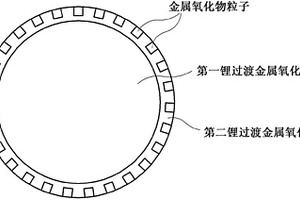 正极活性材料粒子和包含其的二次电池