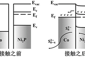 负载Ni2P-Co肖特基节活性位点海胆状碳材料电催化剂、制备方法及其应用