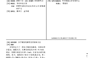分子凝胶电解质及其制备方法