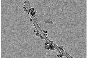 碳纳米管阵列/氧化镍纳米颗粒同轴复合负极材料及其制备方法