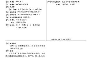UZM-22硅铝酸盐沸石、制备方法和使用UZM-22的方法