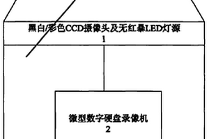 夜视密拍包