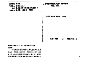 三阳三阴极结构扣式电池