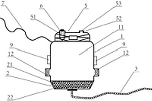 用于环境检测的新型深水取样装置