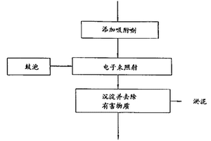 用电子束照射处理含有有害物质的废水的方法