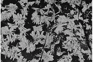 用于低浓度有机溶剂废水处理的海绵基复合吸收剂及其制备方法和应用