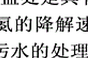 水生丛毛单胞菌属菌株及其在废水生物脱氮中的应用