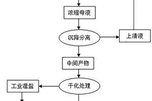 橡胶防焦剂CTP废水浓缩母液的处理工艺