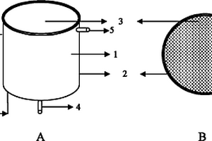 废水厌氧氧化与负氧离子偶联发生装置及方法