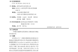 微生物菌株及其菌剂在含酚废水生物处理中的应用