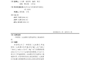 镁铝二元水滑石及其处理化工废水的应用