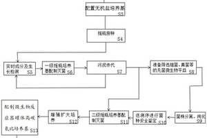 废水生化调试的处理系统及处理方法