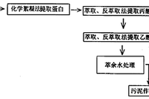 生产VB12的工业废水的资源化处理工艺及其专用废水处理机