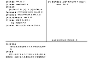 通过色谱分离选择性除去废水中的氟化物和氨