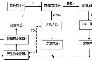 利用淀粉加工废水厌氧发酵液培养小球藻的方法